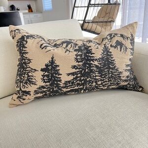 Pottery Barn Tan and Black Holiday Pillow